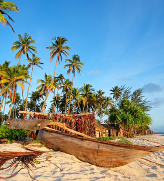 Dhow on the beach in Zanzibar, Tanzania