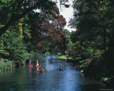 Avon River, Christchurch Botanic Gardens