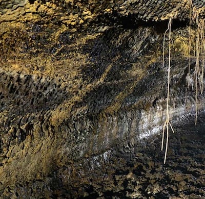 Cueva del Viento, Tenerife