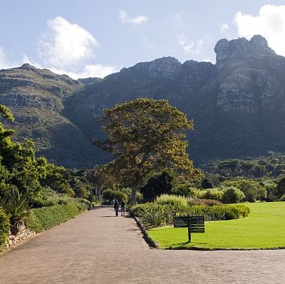 Kirstenbosch Botanical Gardens, Cape Town