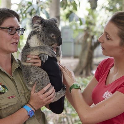 Lone Pine Koala Sanctuary, Brisbane