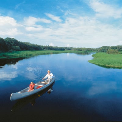 Myakka River State Park, Florida