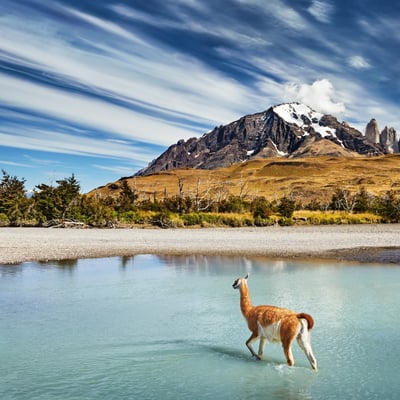 Torres_del_Paine_National_Park_Patagonia_Chile central and south america cruises