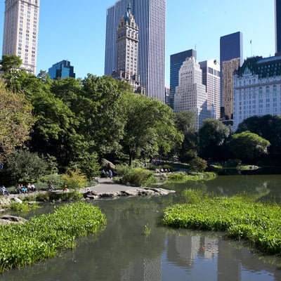 Central Park, New York