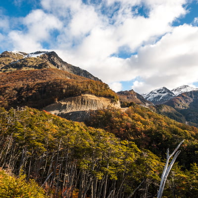 Tierra del Fuego National Park