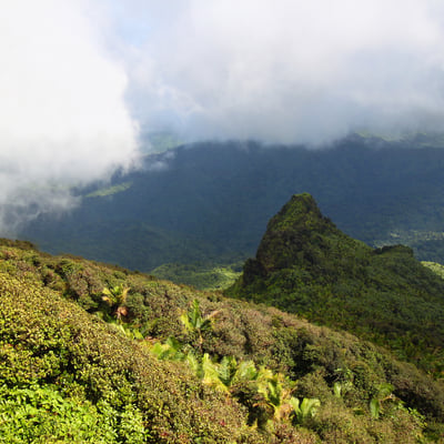 El Yunque rainforest, Puerto Rico