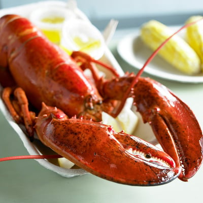 Lobster, Massachussetts