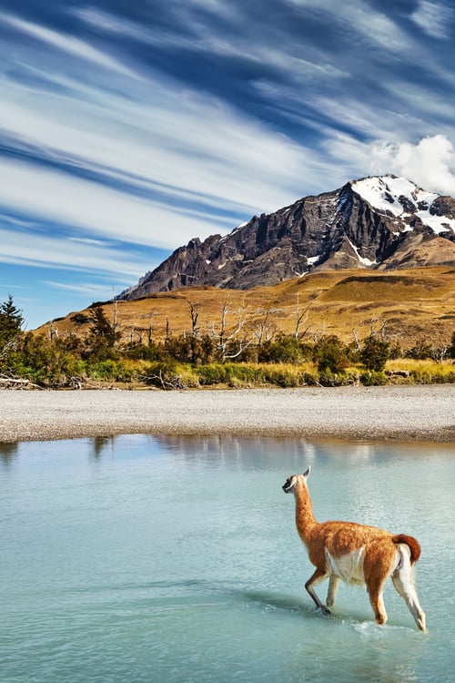Torres_del_Paine_National_Park_Patagonia_Chile central and south america cruises