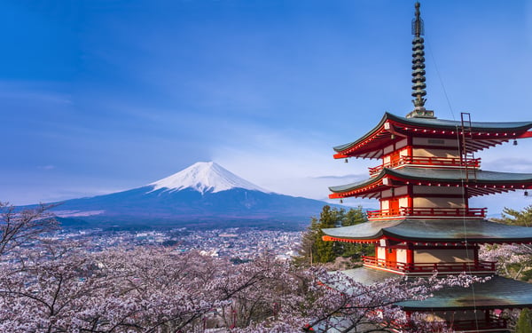 mount fuji in cherry blossom in japan
