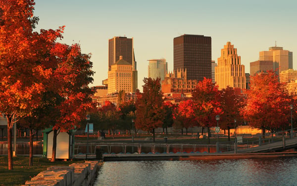 Montréal fall colours