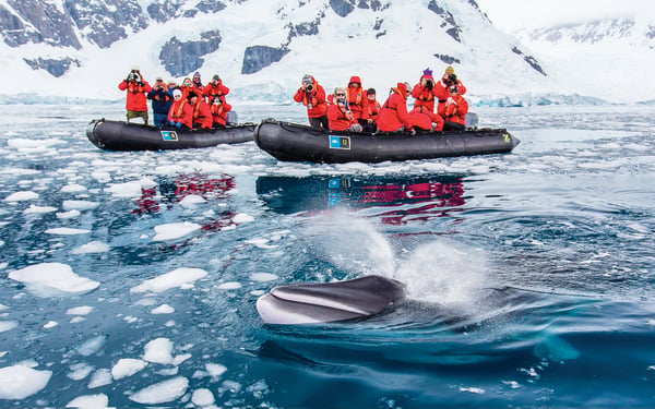 Expedition cruising - Lindblad in Antarctica