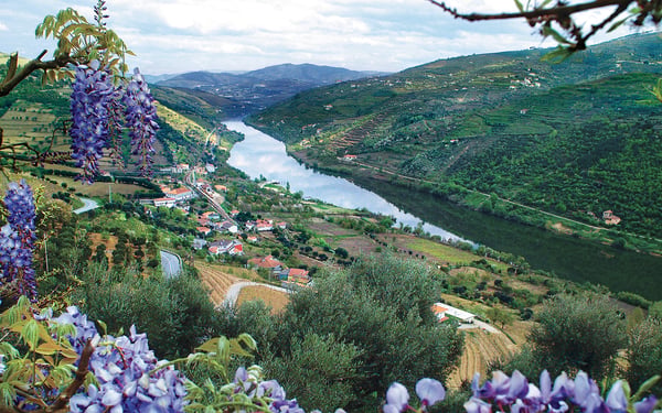 The beautiful Douro river - read our Douro river cruise guide to find out more