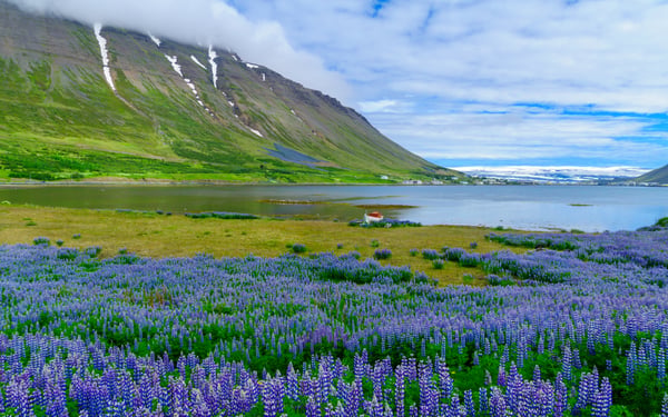 Landscape around Isafjordur, Iceland