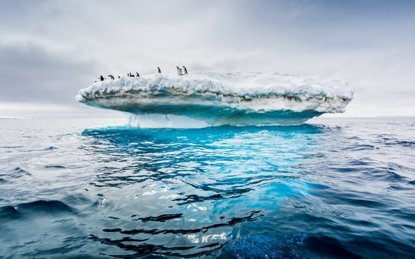 Adelle penguin colony on the Drake Passage crossing to Antarctica