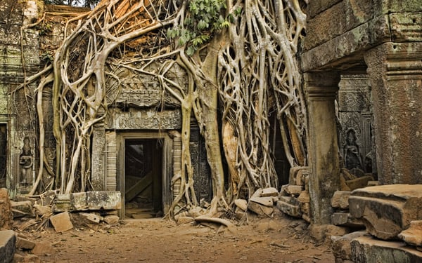 Overgrown Ta Prohm temple in Cambodia