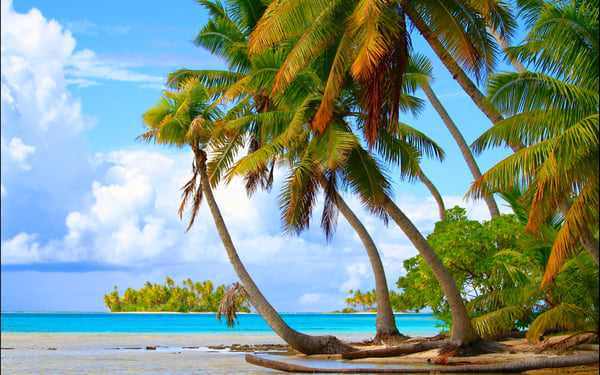 Beach in Rangiroa atoll, French Polynesia