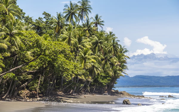Beach in Corcovado National Park, Costa Rica