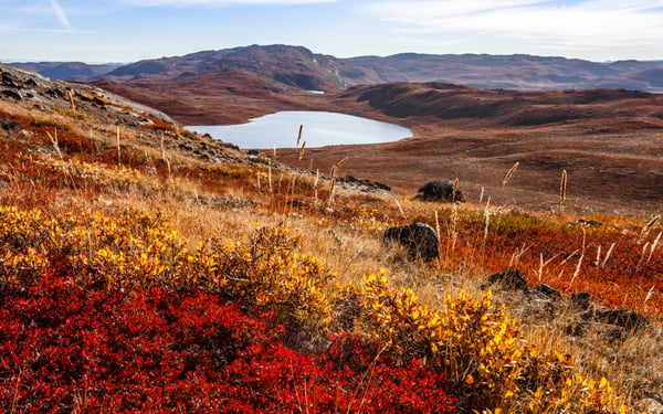 Autumn landscape in Kangerlussuaq, Greenland