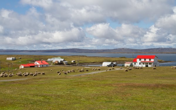 Countryside in the Falkland Islands