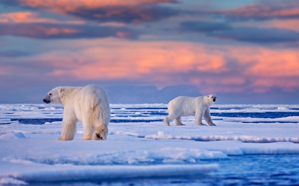 best-arctic-cruises