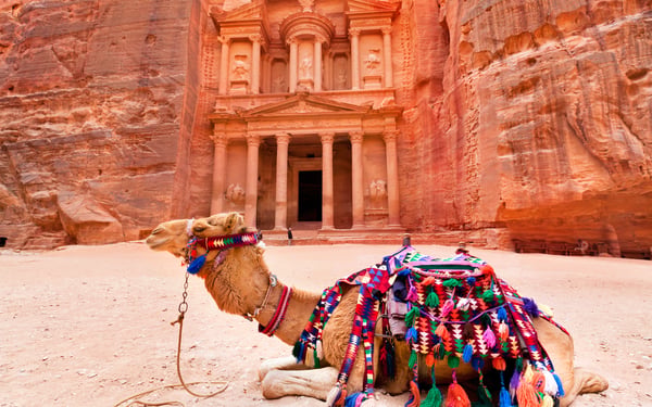Camel outside Petra, Jordan