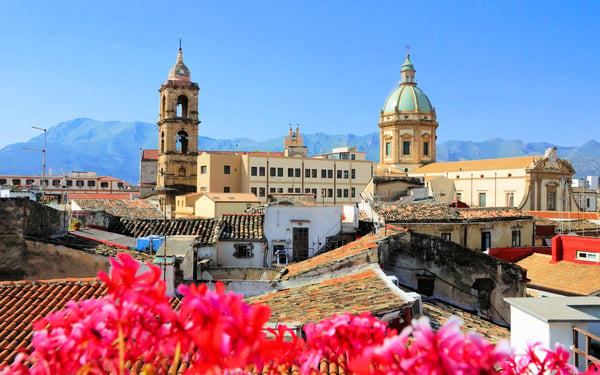 Spring flowers in Palermo, Sicily