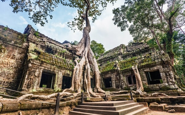 Ta Prohm temple, Angkor