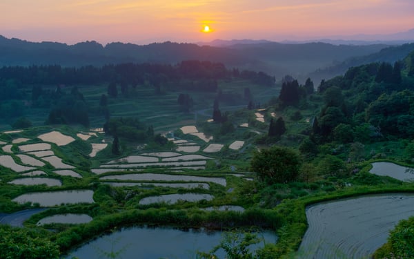 Ricer terraces in Niigata, Japan