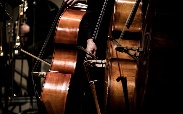 Enjoy exclusive performances on the best classical music cruises of 2020