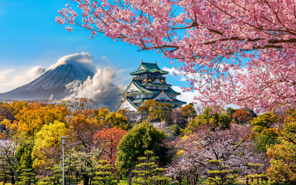Osaka Castle and cherry blossom with mount Fuji in Japan