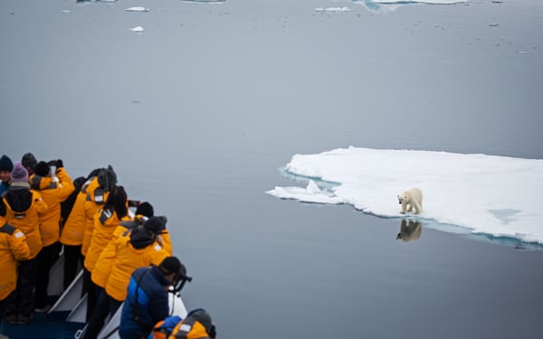 Polar bear spotting on a Quark Expeditions cruise to the Arctic