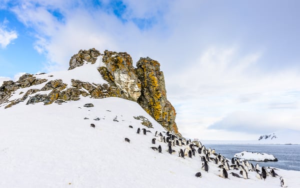 Half Moon Island, South Shetland Islands, Antarctica