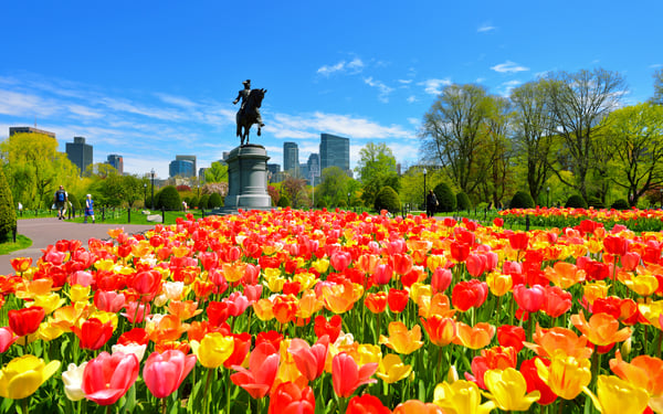 Boston Public Garden