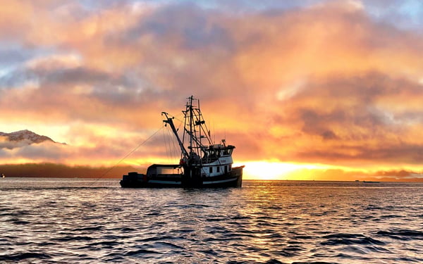 Shrimp trawler off Petersburg, Alaska