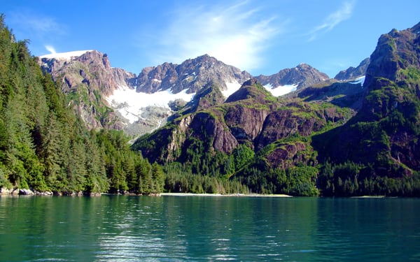 silver-muse-alaska-review