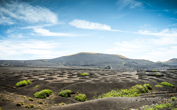 La Geria vineyards, Lanzarote