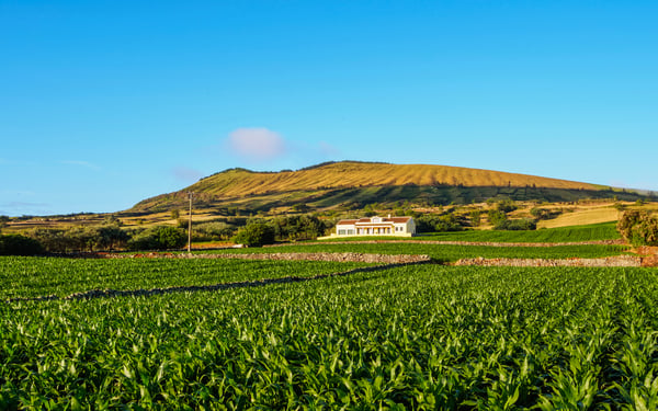 Graciosa island, Azores