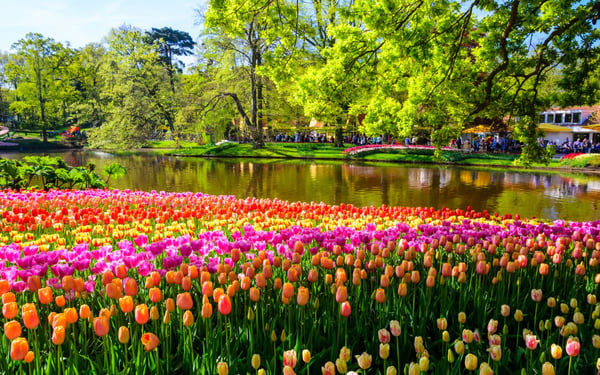 Keukenhof Gardens in the Netherlands