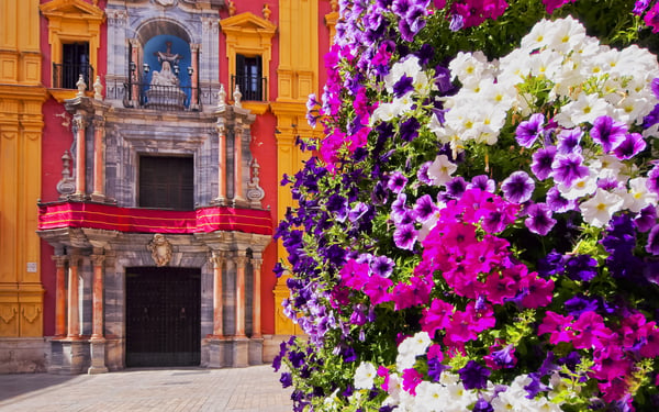 Flowers in Málaga, Spain