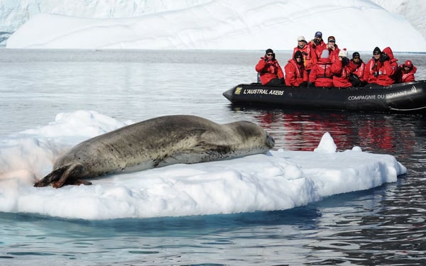 Ponant - L'Austral - Zodiac excursion in Antarctica