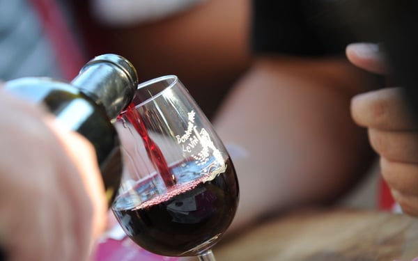 Bordeaux Wine Festival, France