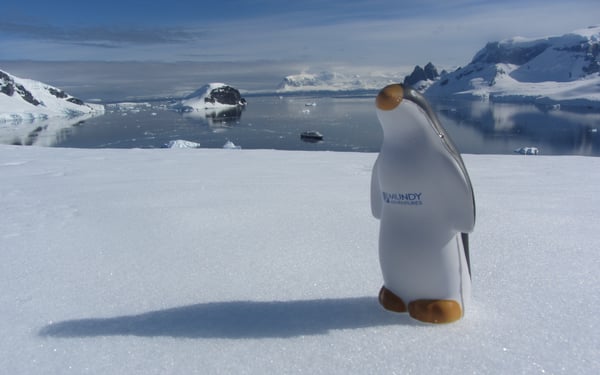 Antarctica Danco Island