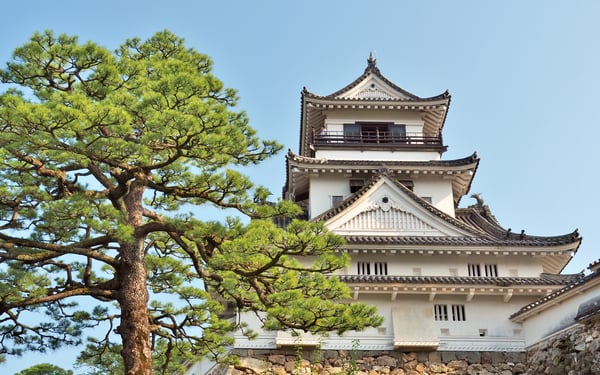 Kochi Castle, Japan