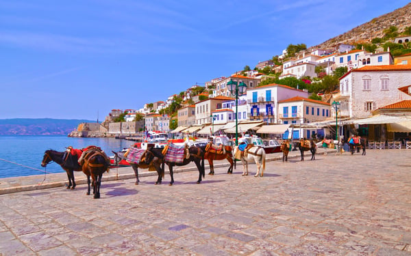 Donkeys in Hydra, Greece