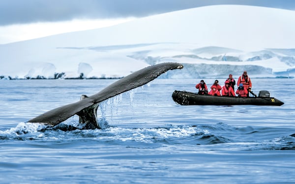 Ponant - Zodiac in Antarctica