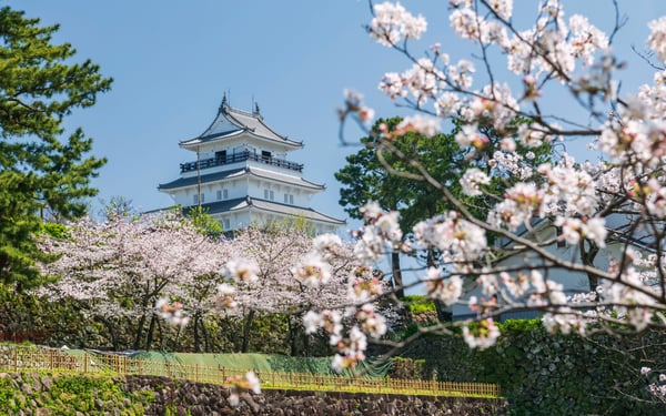 Cherry blossom blooming in front of Shimabara castle in Nagasaki Japan