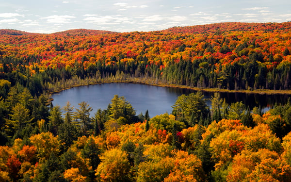 The best Canada cruises, including incredible fall colours