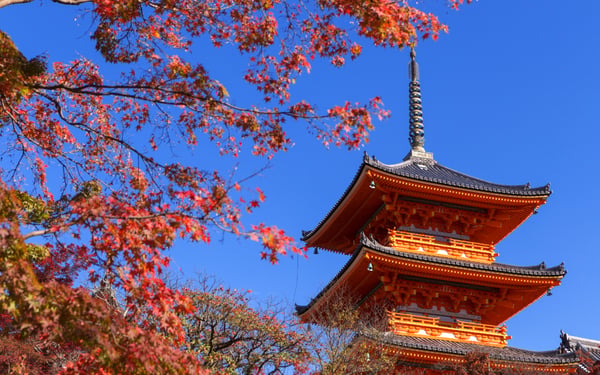 visit Kyoto on a Windstar Japan cruise