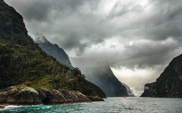 New Zealand expedition cruise in Milford Sound