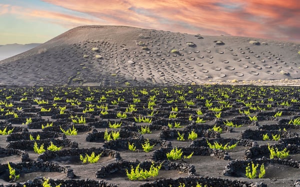 La Geria, Lanzarote